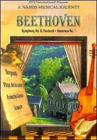 Ludwig Van Beethoven. Symphony No. 6 Pastoral. A Naxos Musical Journey (DVD) - DVD di Ludwig van Beethoven