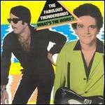 What's the Word? - CD Audio di Fabulous Thunderbirds