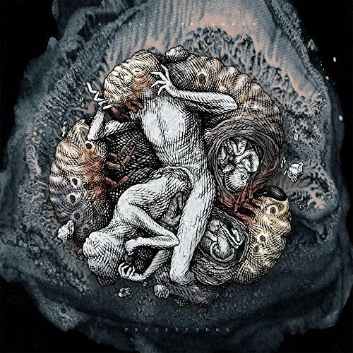 Projections - Vinile LP di Across the Swarm