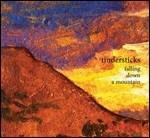Falling Down a Mountain - CD Audio di Tindersticks