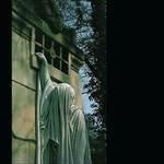 Within the Realm of a Dying Su - Vinile LP di Dead Can Dance