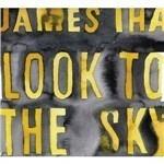Look to the Sky - Vinile LP di James Iha