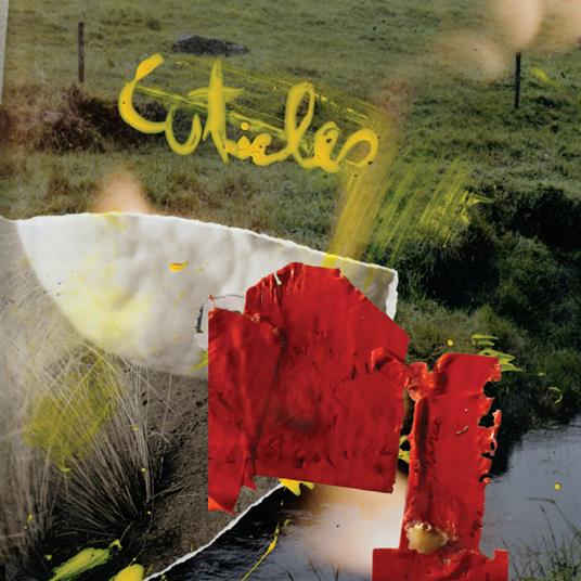 Major Works - Vinile LP di Cuticles