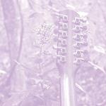 Solo Acoustics vol.12