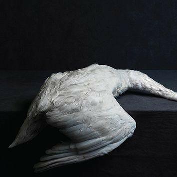 Mass VI - CD Audio di Amenra
