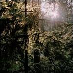 White Manna - CD Audio di White Manna