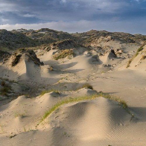 Dune Worship - CD Audio di White Manna