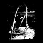 Cleaning The Mirror - CD Audio di Pink Reason