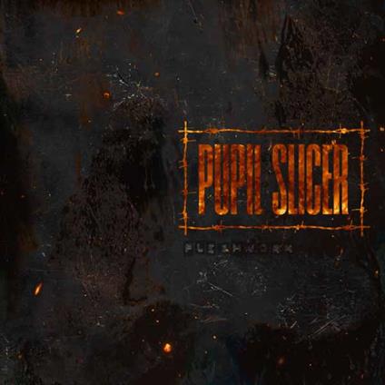 Fleshwork - CD Audio di Pupil Slicer