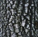 Interiors - CD Audio di Ativin