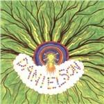 Brother Is to Son - CD Audio di Danielson Famile
