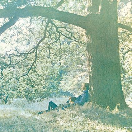 Plastic Ono Band - Vinile LP di Yoko Ono