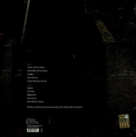 Dark Bird Is Home - Vinile LP di Tallest Man on Earth - 2