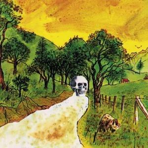 Disciples of California - CD Audio di Skygreen Leopards