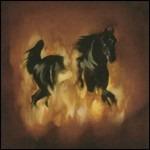 Are the Dark Horse - CD Audio di Besnard Lakes