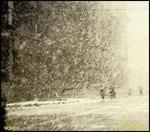 Public Strain - Vinile LP di Women