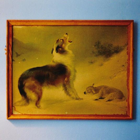 The Rescue (20th Anniversary Edition) - Vinile LP di Explosions in the Sky
