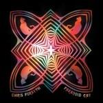 Paranoid Cat - Vinile LP di Chris Forsyth