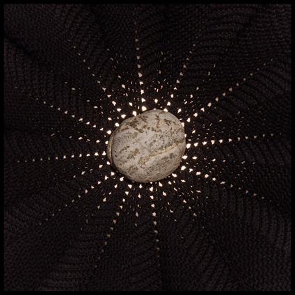 In the Hollows - CD Audio di Nat Baldwin