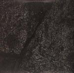 Order of Noise - Vinile LP di Vessel