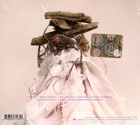 This Is My Hand - CD Audio di My Brightest Diamond - 2