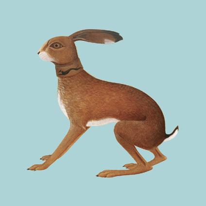 Lookaftering (Expanded) - Vinile LP di Vashti Bunyan