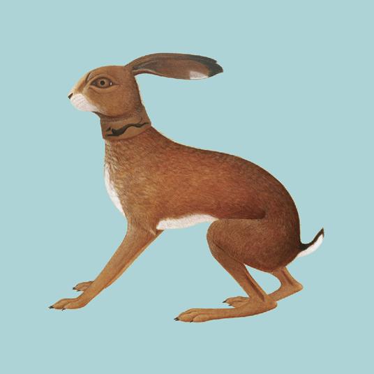 Lookaftering (Expanded) - Vinile LP di Vashti Bunyan