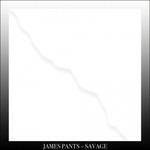 Savage ( + Download Card) - Vinile LP di James Pants