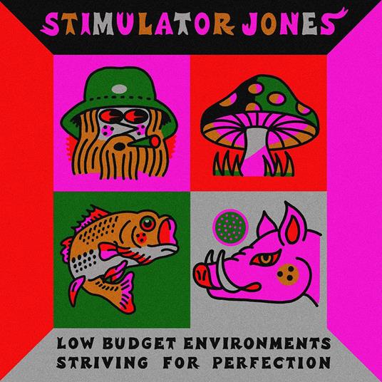 Low Budget Environments Striving For Perfection - Vinile LP di Stimulator Jones
