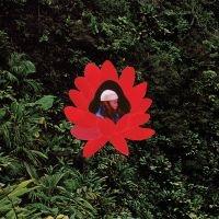 When The Flowers Bloom - Vinile LP di Lionmilk