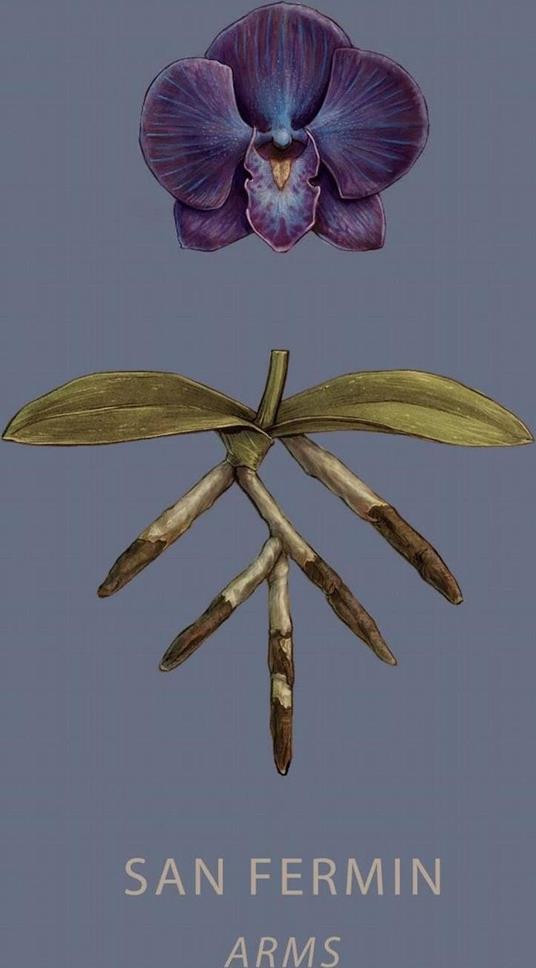 Arms - Vinile LP di San Fermin