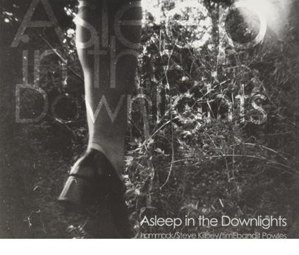 Asleep in the Downlights - CD Audio di Hammock