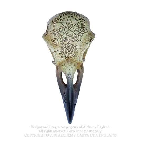 Omega Raven Skull teschio