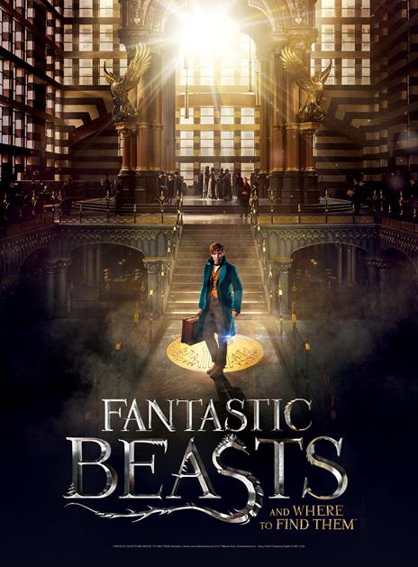 Puzzle Poster Fantastic Beasts Mac - 2
