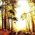 Take a Lover - Vinile LP di Early Mammal