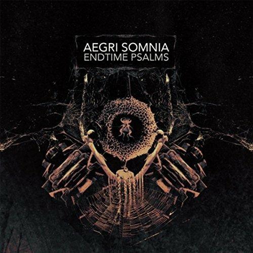 Endtime Psalms - CD Audio di Aegri Somnia