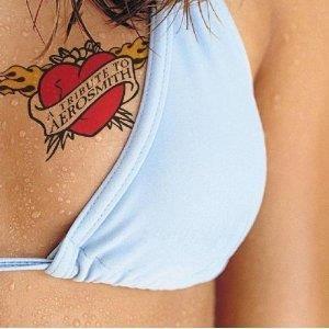 Tribute To Aerosmith - CD Audio