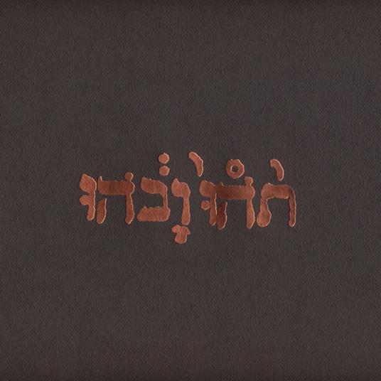 Slow Riot for New Zero Kanada Ep - Vinile LP di Godspeed You Black Emperor