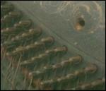 You, You're a History in Rust - CD Audio di Do Make Say Think