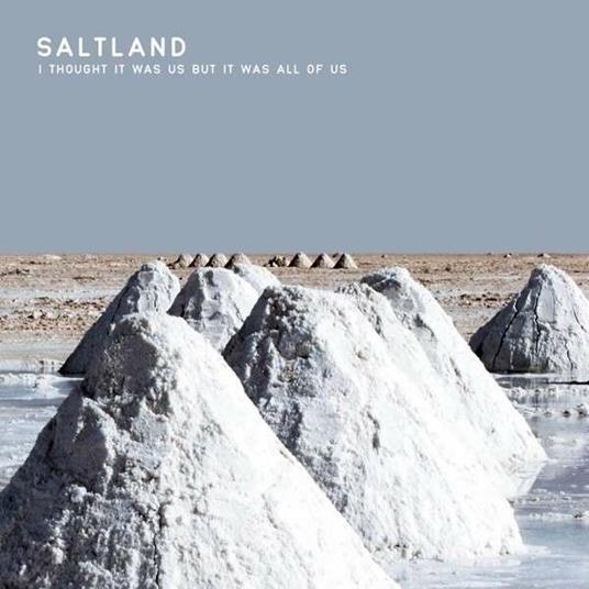 I Thought it Was Us but it Was All of Us - Vinile LP di Saltland