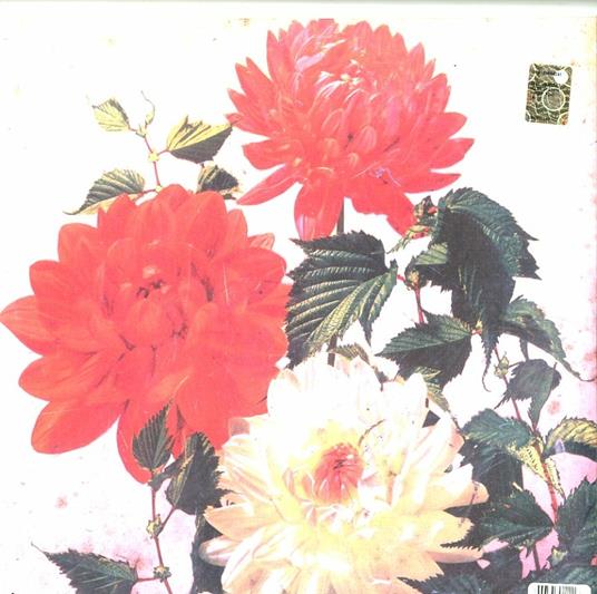 Asunder, Sweet and Other Distress - Vinile LP di Godspeed You Black Emperor - 2