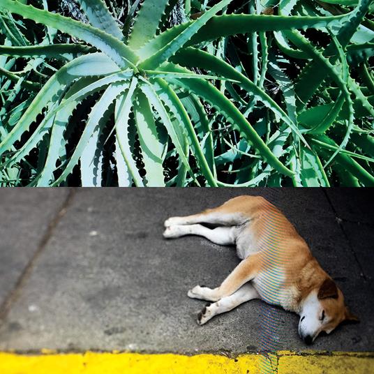 All The Things That Happen - Vinile LP di Steve Bates