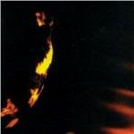 Stormcrowfleet - CD Audio di Skepticism