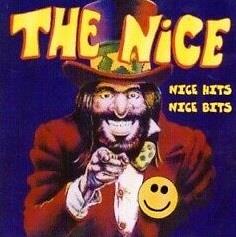 Nice Hits Nice Bits - CD Audio di Nice