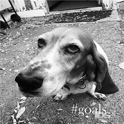 Goals - CD Audio di Goals