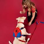 Funko Loungefly Pets Spider-Man Cosplay Dog Harness - Marvel MVPDH