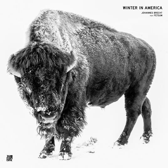 Winter in America (White Coloured Vinyl) - Vinile LP di Johannes Brecht