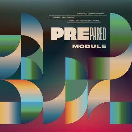 Module - Vinile LP di Prepared