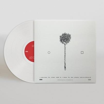 Dents and Shells (Coloured Vinyl) - Vinile LP di Richard Buckner