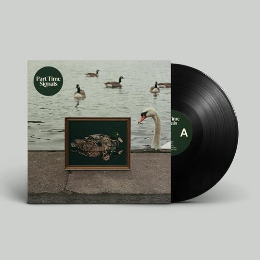 Ducks Back, Baby - Vinile LP di Part Time Signals